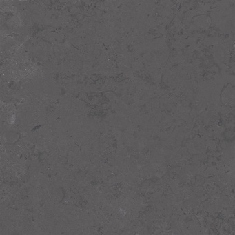 DD640820R Про Лаймстоун серый темный натуральный обрезной 60x60x0,9 - изображение 1