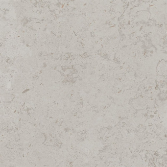 DD641020R Про Лаймстоун серый светлый натуральный обрезной 60x60x0,9 - изображение 1