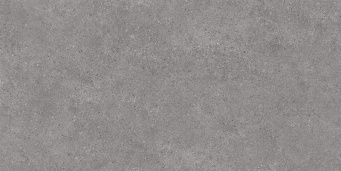 DL500920R Фондамента серый обрезной 60x119,5x0,9 - изображение 1